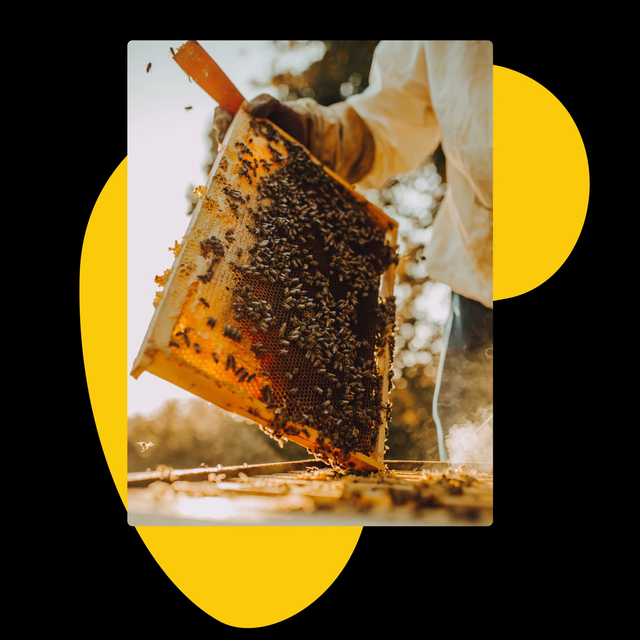 Built for Beekeepers