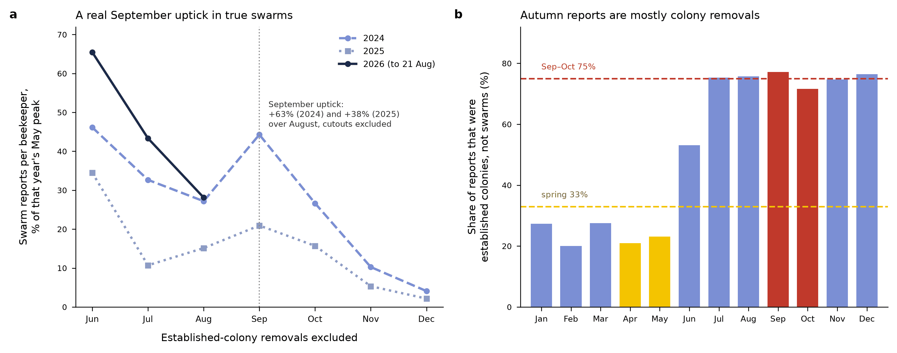 Two panels. Left: swarm reports per beekeeper from June to December as a share of each year's May peak, for 2024, 2025 and 2026, showing a September uptick in 2024 and 2025. Right: bar chart of the share of reports that were established colonies by month, at 33% in spring and 75% in September and October.
