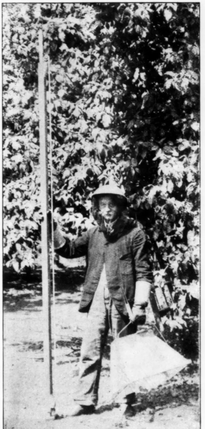 A 1912 photograph of a veiled beekeeper standing beside a tall wooden extension pole, holding the cloth hiving basket he hoisted up under swarms