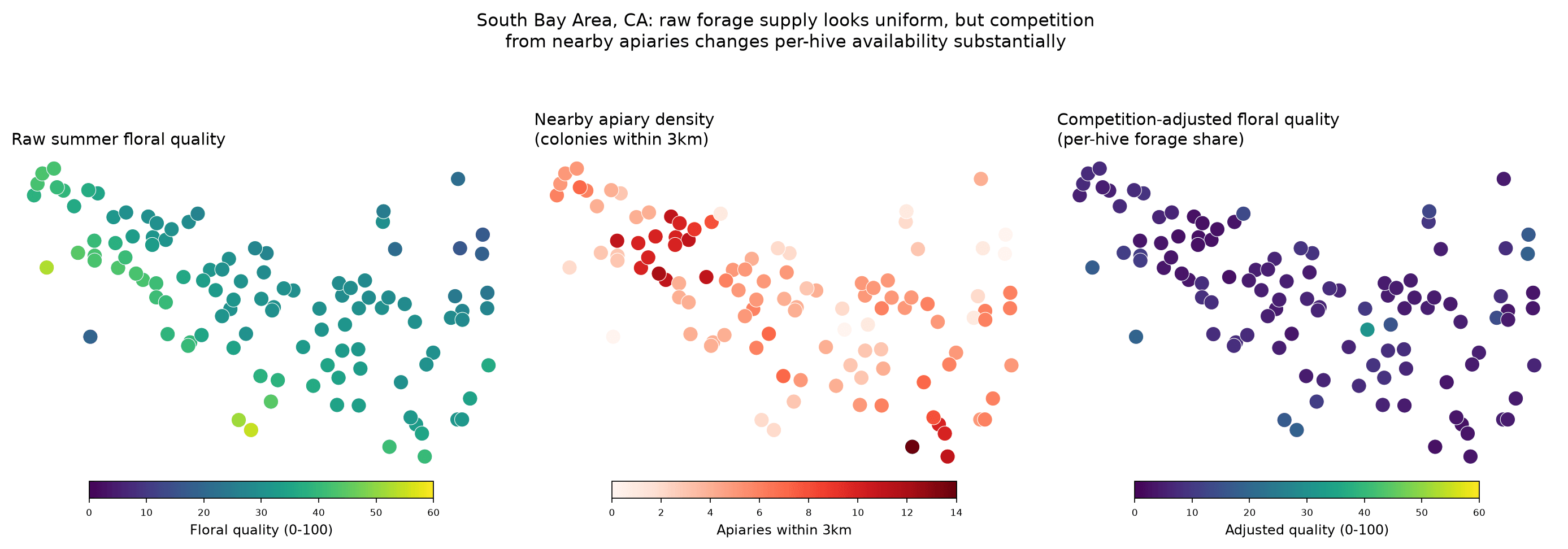 Three panels over the South Bay: raw land forage, nearby colony density, and the two shown side by side